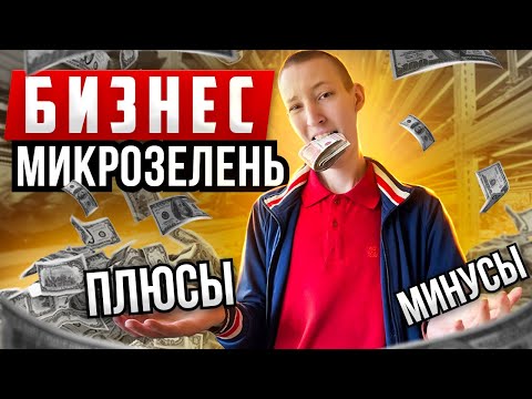 Видео: Открыл бизнес дома на 5000! Что имею сейчас?! Бизнес микрозелень!