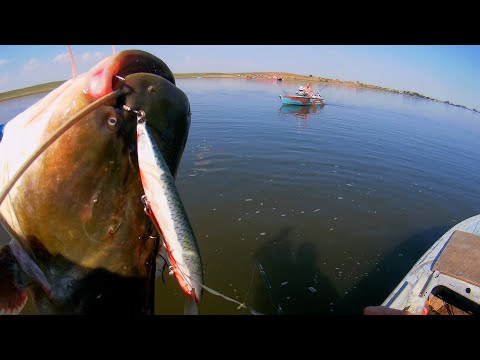Видео: ГЛУБОКИЙ ТРОЛЛИНГ НА АХТУБЕ,  СОМЫ ЛЮТУЮТ !