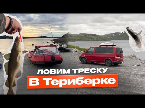 Видео: КАК ЛОВИТЬ ТРЕСКУ В ТЕРИБЕРКЕ И НЕ РАЗОРИТЬСЯ? УЗНАЙ СЕКРЕТЫ! // РЫБАЛКА В ТЕРИБЕРКЕ // КОЛЬСКИЙ