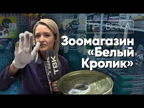 Видео: «Проверка»: зоомагазин «Белый кролик» в Красноярске