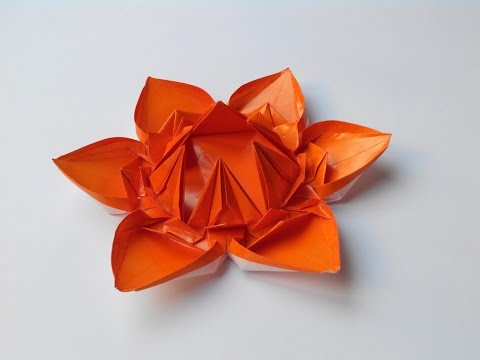 Видео: Цветок 7 (Алексей Жигулёв), Flower 7