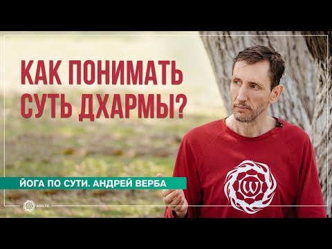 Видео: Мудрость Вималакирти. Как понимать суть Дхармы? Андрей Верба