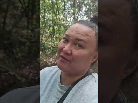 Видео: Италия идём собирать грибы.