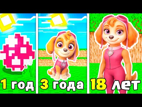 Видео: КАК МЕНЯЛАСЬ СКАЙ ЩЕНЯЧИЙ ПАТРУЛЬ В МАЙНКРАФТ