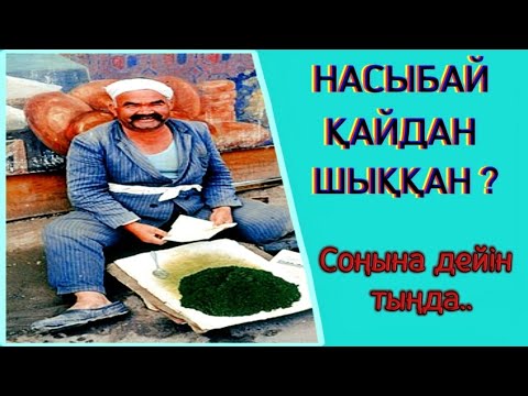Видео: Қазақ насыбай атқанба? #аудиокітап Автор:Әбдірейім Өміров #әңгіме