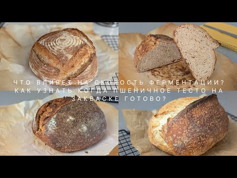 Видео: Как понять, что пшеничное тесто на закваске готово к формовке? Что влияет на скорость ферментации?