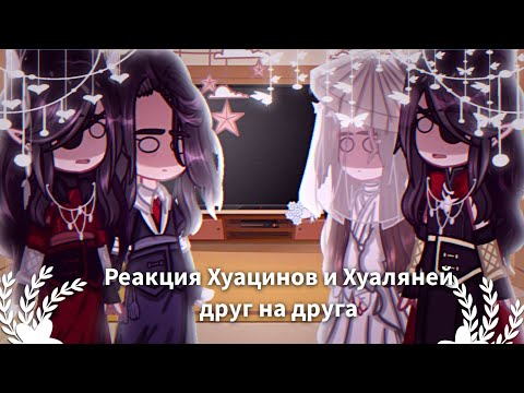 Видео: реакция Хуацинов и Хуаляней друг на друга