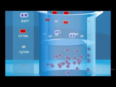 Видео: Газдардың судағы ерігіштігі