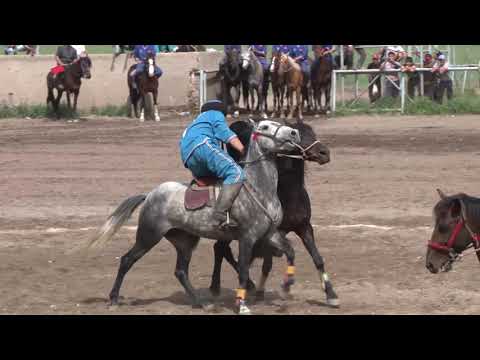 Видео: Талас -Сары Өзөн  9 май 2015