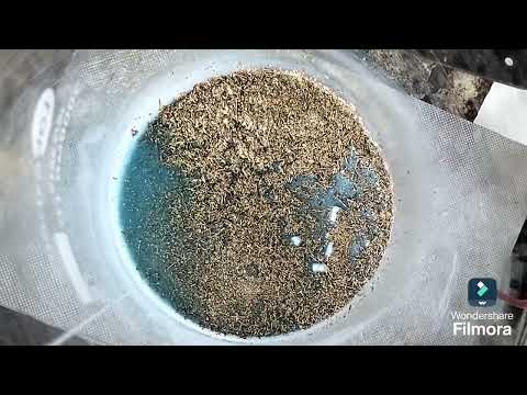 Видео: Золото из импорта. Непредсказуемые разъемы и "позолоченные" платы.