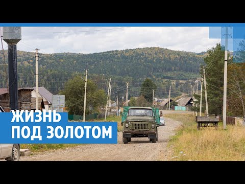 Видео: Золотодобытчики отравляют реки Красноярского края | NGS24.ru