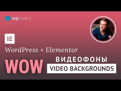 Видео: WOW-видеофон в WordPress и Elementor