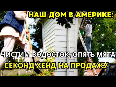 Видео: Наш ДОМ в США: Чистим Водосток/Опять Мята?Секонд Хенд на Продажу/