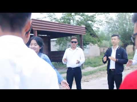 Видео: Шагым