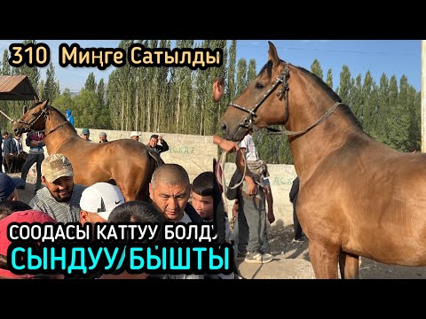 Видео: НООКАТ ЖЫЛКЫ БАЗАРЫ. АТТАР КӨП КИРЕ БАШТАДЫ / 17 август 2025  Жыл