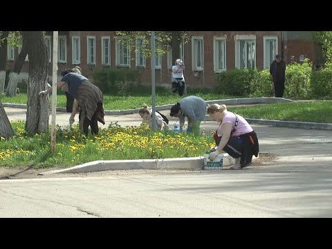 Видео: Общерегиональный субботник в Киреевске