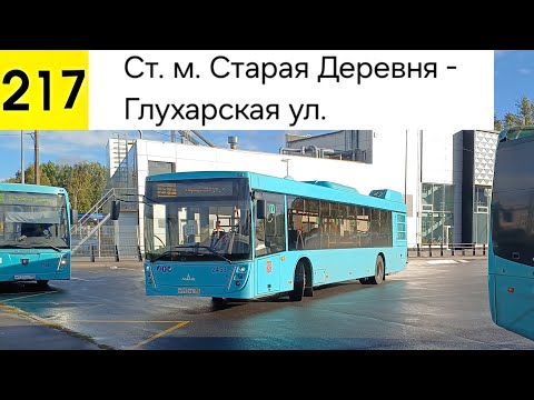 Видео: Автобус 217. Ст. м. Старая Деревня - Глухарская ул.
