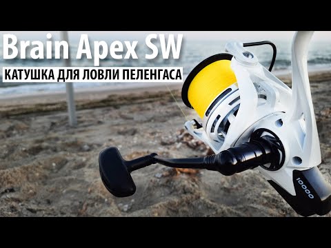 Видео: Серфовая катушка для ловли пеленгаса Brain Apex SW 10000