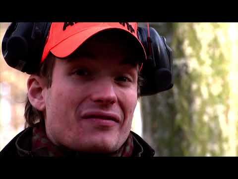 Видео: Лихорадка дикого кабана VI часть 3