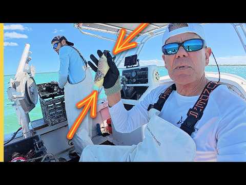 Видео: Сезон каменного краба ОТКРЫВАЕТСЯ! Коммерческий лов крабов с капитаном Луисом Кейвом