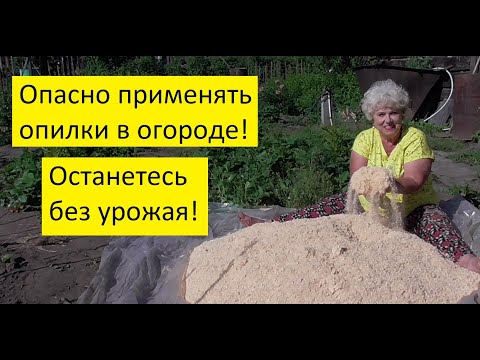 Видео: Мульча из опилок. Вред или польза?
