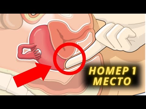 Видео: 10 лучших мест, где можно прикоснуться к женщине (знают 2% мужчин) | ПСИХОЛОГИЯ | СТОИЦИЗМ