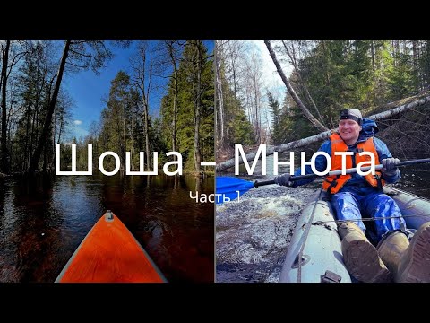 Видео: Сплав по рекам Шоша и Мнюта. День 1. Река Шоша