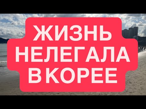 Видео: Жизнь #Нелегала в #Корее #Работа #Жильё
