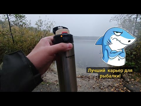 Видео: На  Осеннюю рыбалку,  окунь щука, будут ли они брать?? — и пусть льёт как из ведра!🎣🌧️🌊🌳🌅
