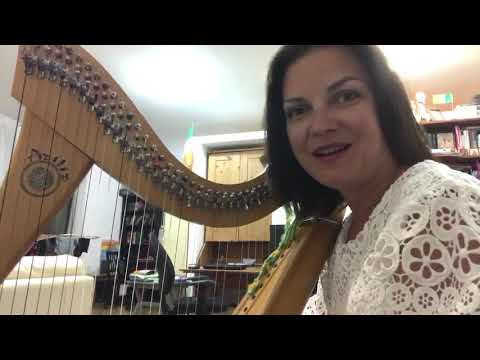 Видео: Домашний концерт Натальи О'Шей для #моймиоквартирник