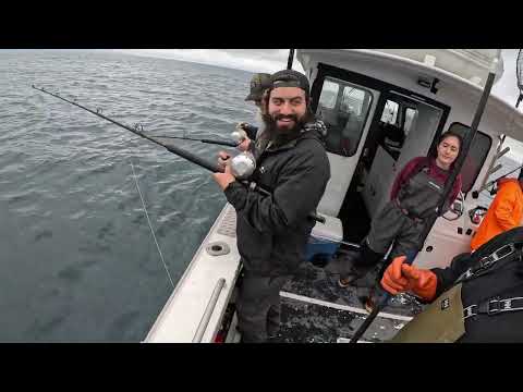 Видео: ловля палтуса