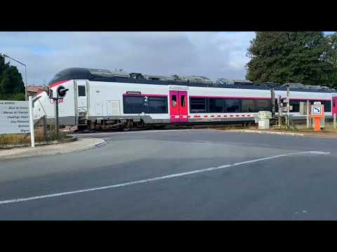 Видео: Слава Богу за всё, за скорбь и за радость...