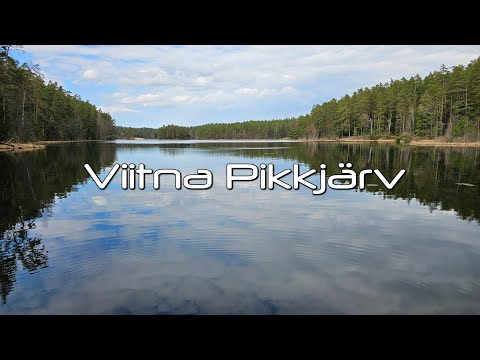 Видео: Озеро Viitna Pikkjärv (Длинное), Эстония.