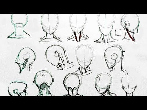 Видео: Как рисовать шею