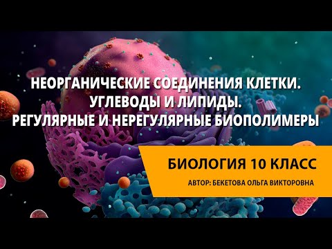 Видео: Неорганические соединения клетки. Углеводы и липиды. Регулярные и нерегулярные биополимеры