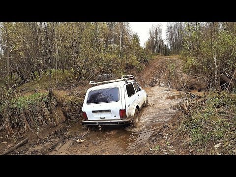 Видео: ВОСЬМЫЕ СУТКИ В ТАЙГЕ! "ПРОБИРАЮСЬ В ВЕРХОВЬЯ" ИЩУ СТАРИННУЮ ДЕРЕВНЮ! НЕОЖИДАННЫЙ ЖОР ЩУКИ!