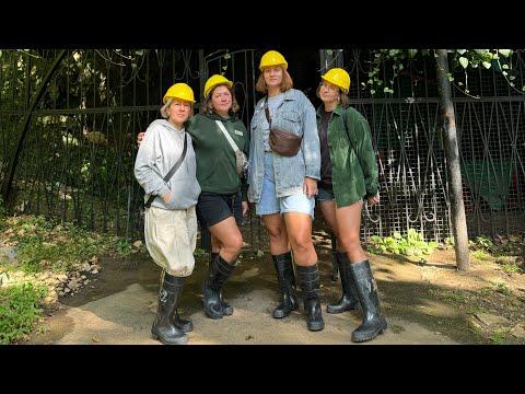 Видео: Абхазия⛰️ День 4ый - пещера Абрскила