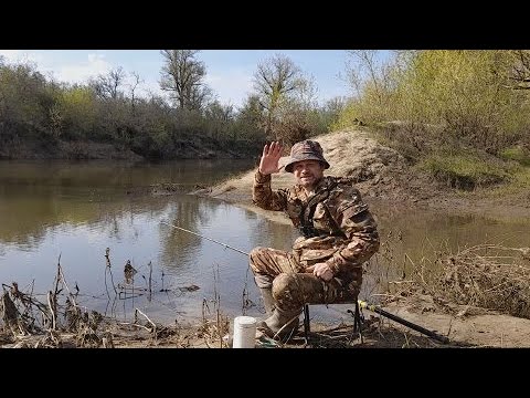 Видео: Плотва клюёт на этого червя. Наловил много рыбы. Рыбалка на поплавок.