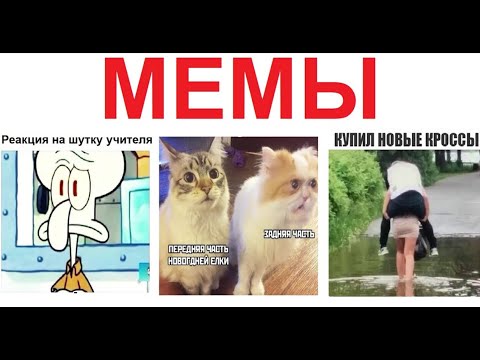 Видео: Лютые мемы. Реакция на шутки учителей