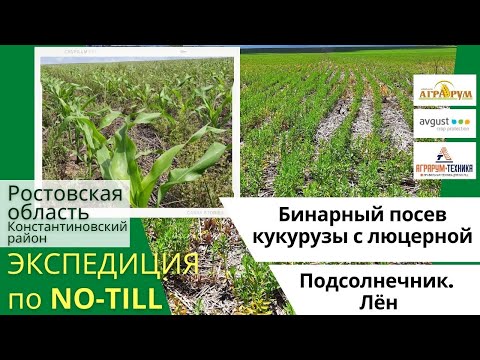 Видео: Экспедиция NO-till 2021: Бинарный посев  кукурузы с люцерной. Подсолнечник. Лён