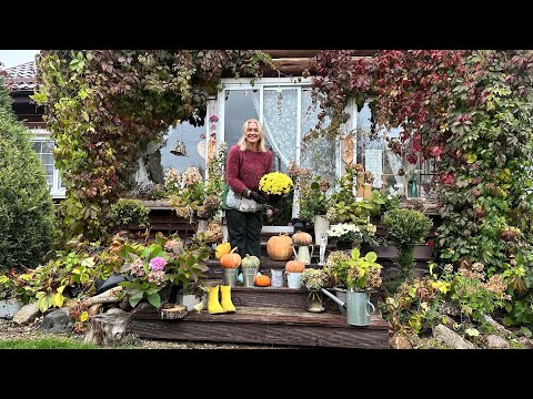 Видео: Готовлю сад к зиме. Как укрыть 150 гортензий!🫣сборка видео за последние 2 недели 