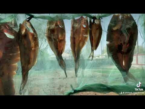 Видео: 9 апреля 2025 г.