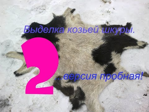 Видео: Выделка козьей шкуры 2.