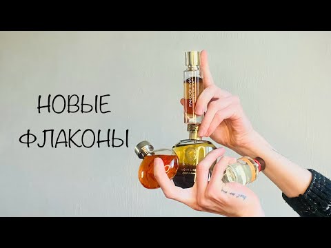 Видео: 4 новых флакона и…собака