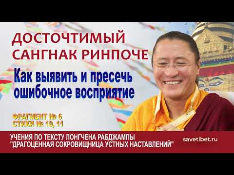 Видео: Сангнак Ринпоче. Как выявить и пресечь ошибочное восприятие