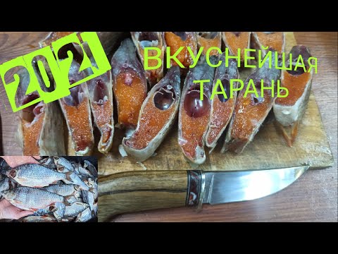 Видео: засолка 130 килограмм тарани сухим посолом за один раз ))) 😋 тарани много не бывает)))🔥🔥🔥