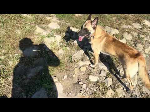 Видео: 23 сентября 2025 г.