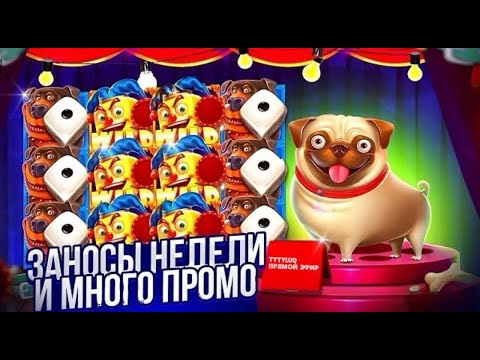 Видео: TYTYLUD вечерний онлайн стрим, заносим х10000 #заносынедели