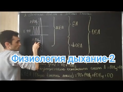 Видео: Физиология дыхание. Легочные объёмы и ёмкости. Частота дыхание и другие.