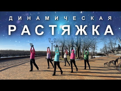 Видео: ДИНАМИЧЕСКАЯ РАСТЯЖКА на Каждый День